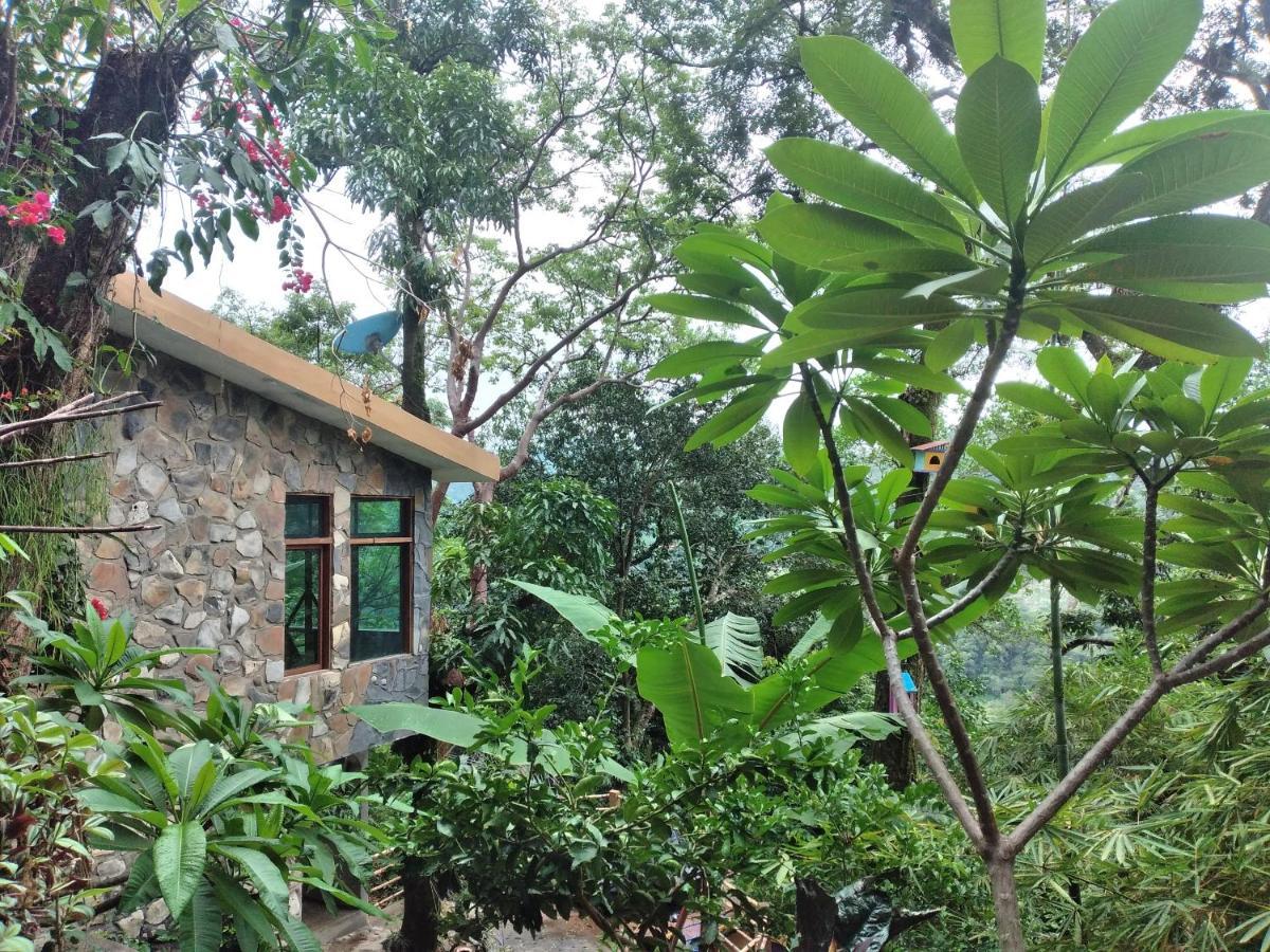 Casa Musgo Hotel Xilitla Buitenkant foto